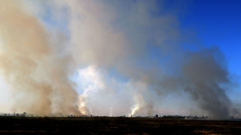Revoca dello stato di massima pericolosità per gli incendi boschivi